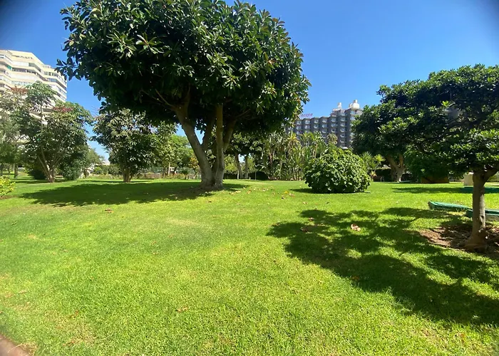 Apartamento Torres De Playamar